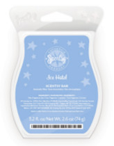 Ice-Hotel-Scentsy-Bar-Scent-of-the-Month-January-2015
